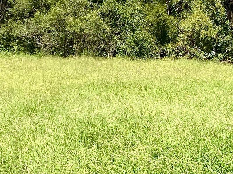0 Bedroom Property for Sale in Reivilo Rural North West